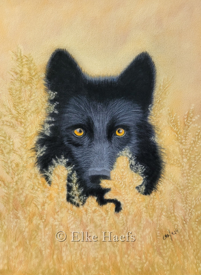 Elke Haefs - Schwarzer Wolf