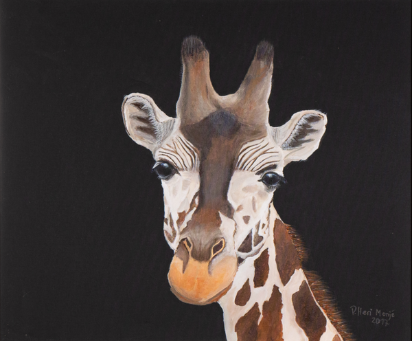 Priska Heri Monjé - Giraffe (Portrait)