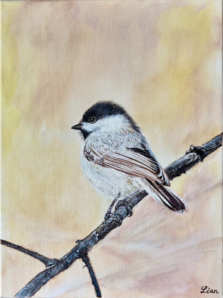 Li Zhou - Black Capped Tit