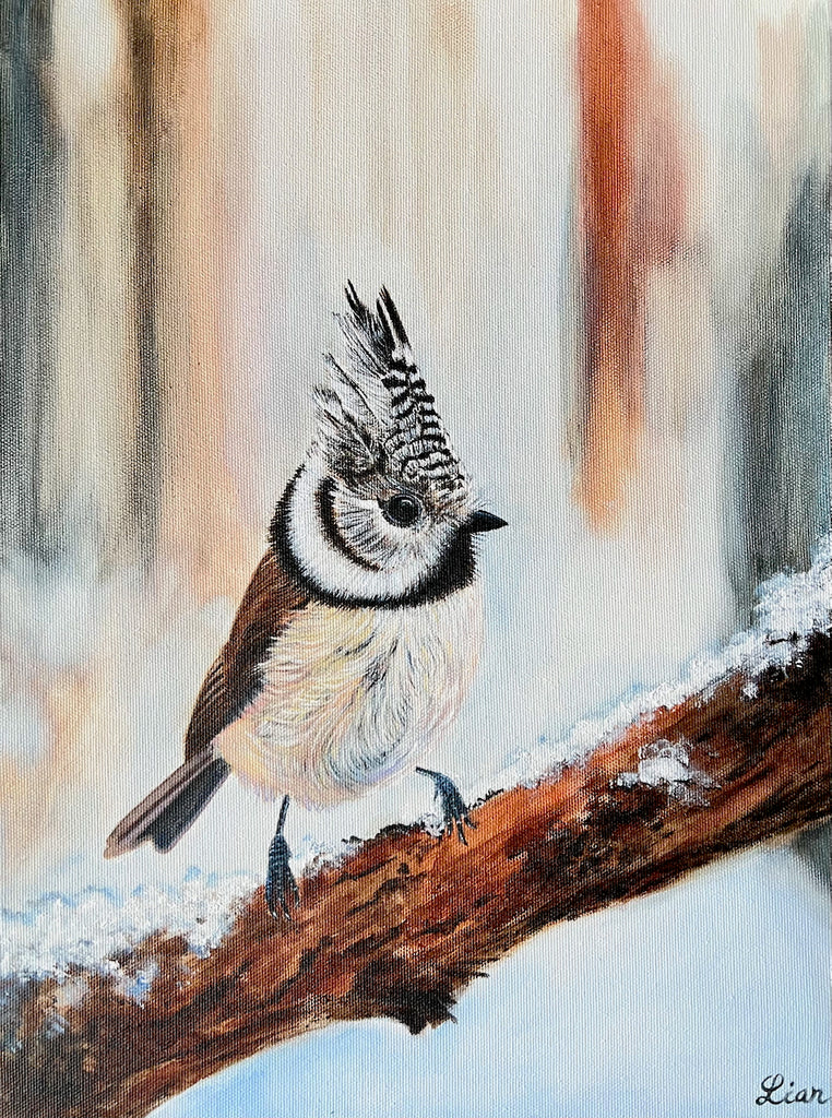 Li Zhou - Crested tit