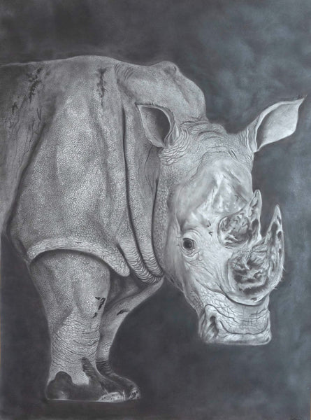 Steven Eissler - Rhino