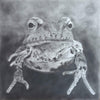 Steven Eissler - Frosch