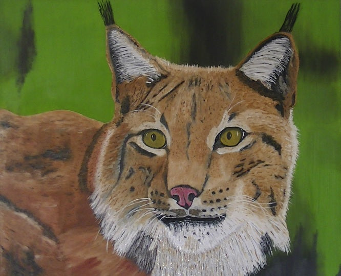 Thomas Svoboda - Luchs