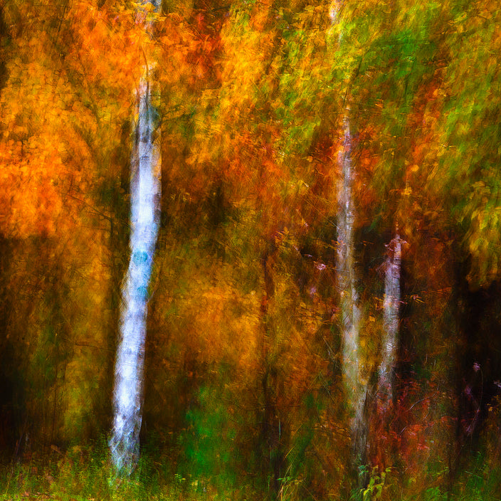 Peter Eberts - Herbstwind