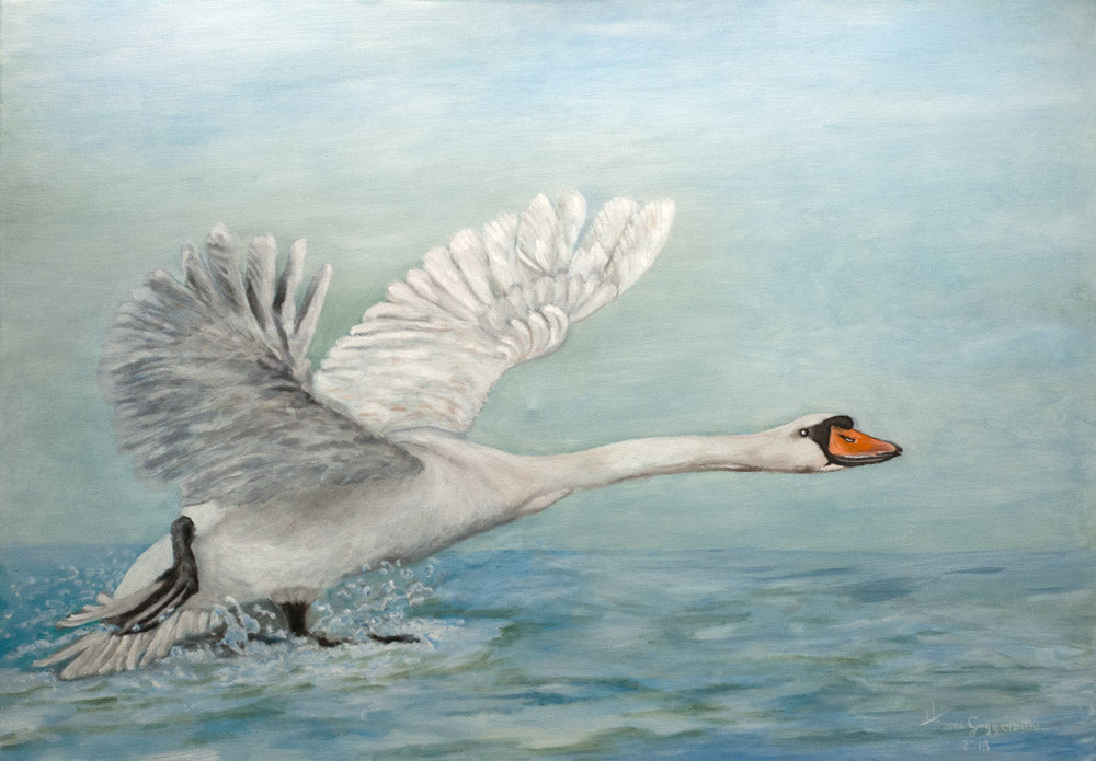 Hannes Guggenbühl - Fliegender Schwan